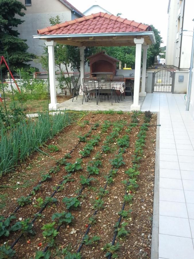 Appartement Sanja M 1 à Orebić Extérieur photo